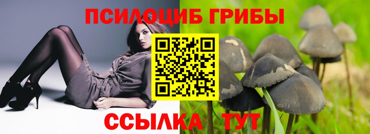 Галлюциногенные грибы Magic Shrooms  Галлюциногенные грибы мухоморы  Вход с VPN  Мариинск 